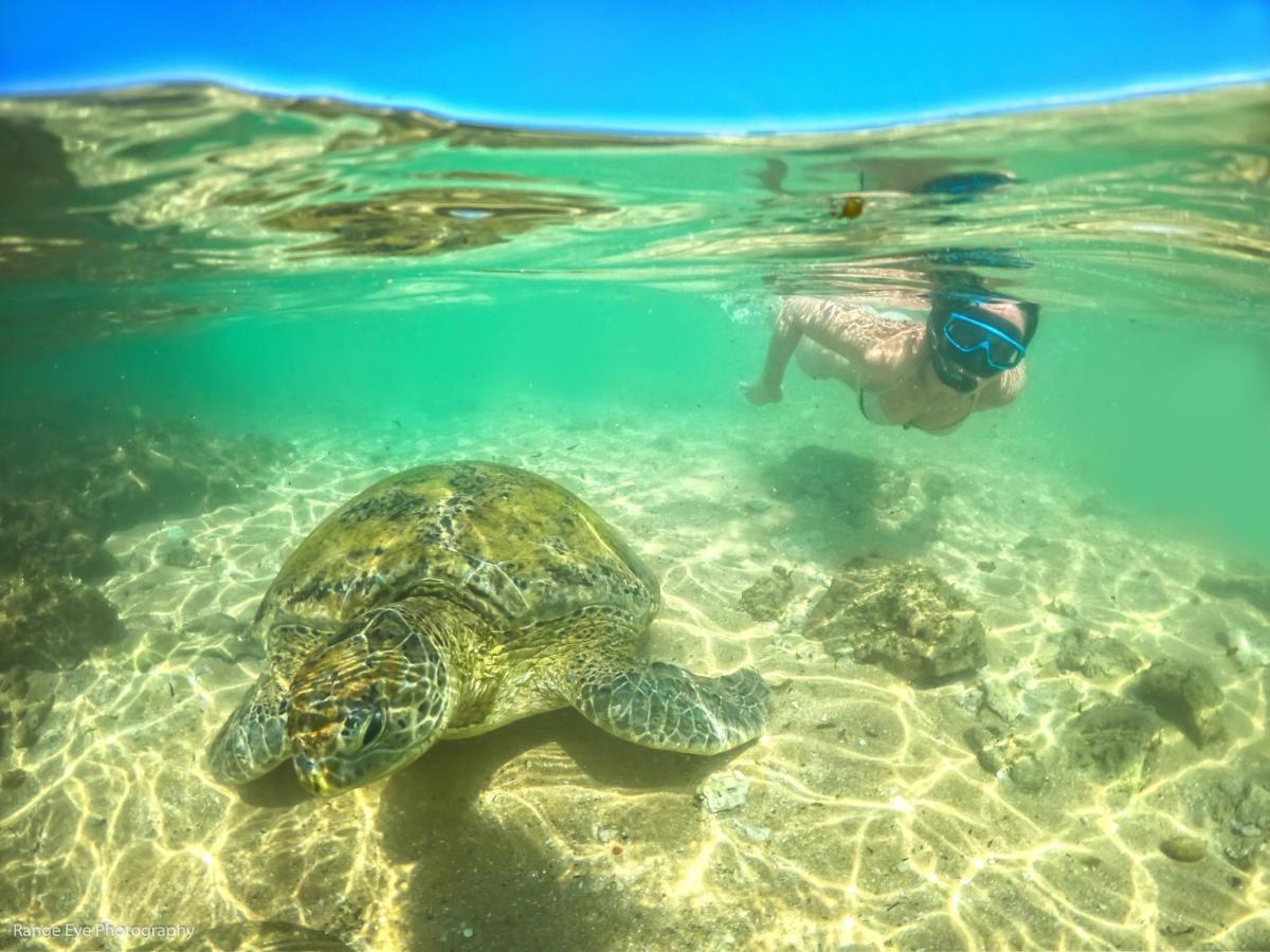 Lucky Seven Beach Resort ヒッカドゥワ エクステリア 写真